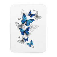 Papillons volants bleus Morpho