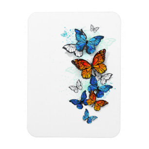 Magnet Flexible Papillons volants Morpho et Monarch