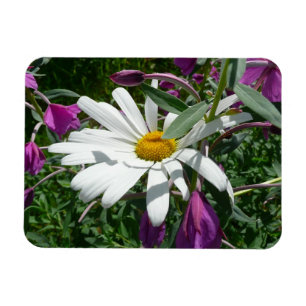 Magnet Flexible Pâquerette et épilobe à feuilles étroites fleur sa