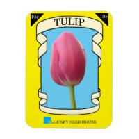 Paquet de graines de Tulip