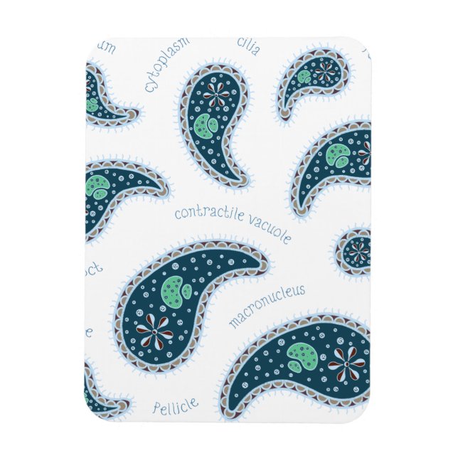 Magnet Flexible Paramecia Paisley Protozoaire Sciences de la biolo (Vertical)