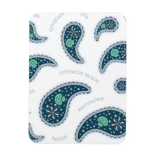 Magnet Flexible Paramecia Paisley Protozoan Biology Science