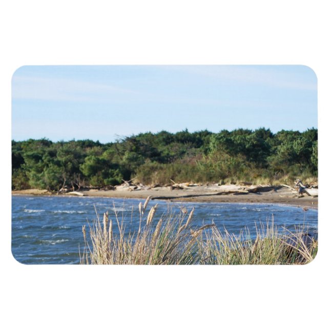 Magnet Flexible Parc d'état de Nehalem Bay (Horizontal)