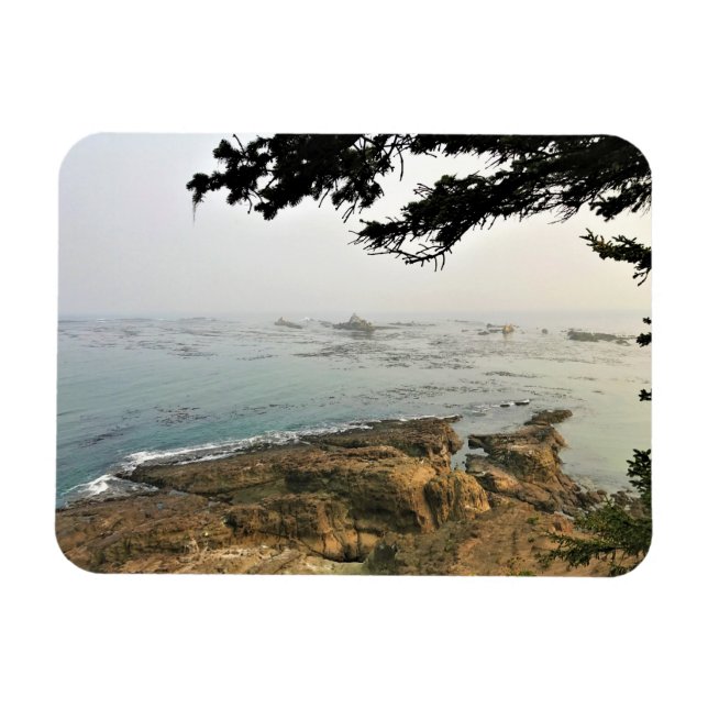 Magnet Flexible Parc d'état du Cap Arago, Côte de l'Oregon (Horizontal)