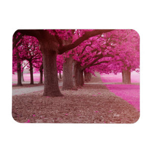 Magnet Flexible Parc d'Imaginaire rose
