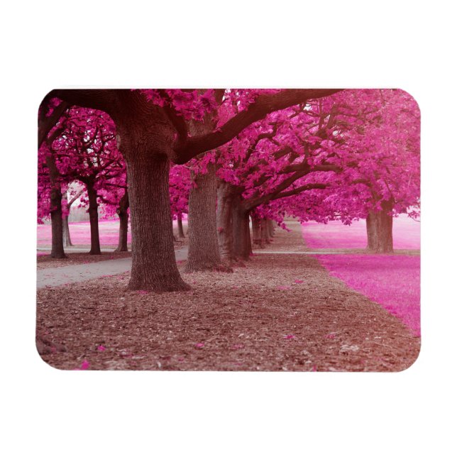 Magnet Flexible Parc d'Imaginaire rose (Horizontal)