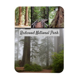 Magnet Flexible Parc national California Redwood Sequoia Trees