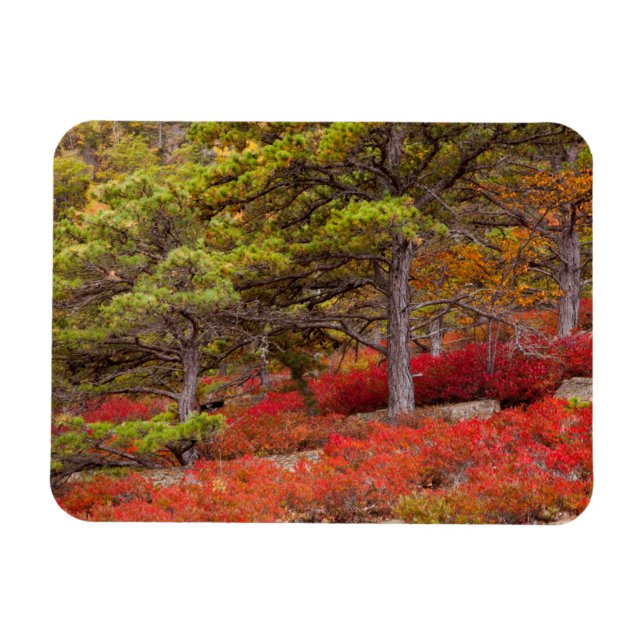 Magnet Flexible Parc national d'Acadia, Maine (Horizontal)