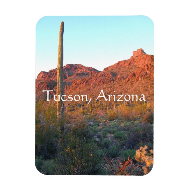 Magnet Flexible Parc national de Saguaro, Tucson Arizona (Vertical)
