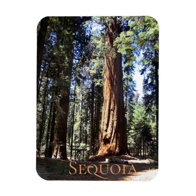Magnet Flexible Parc national de Sequoia (Vertical)