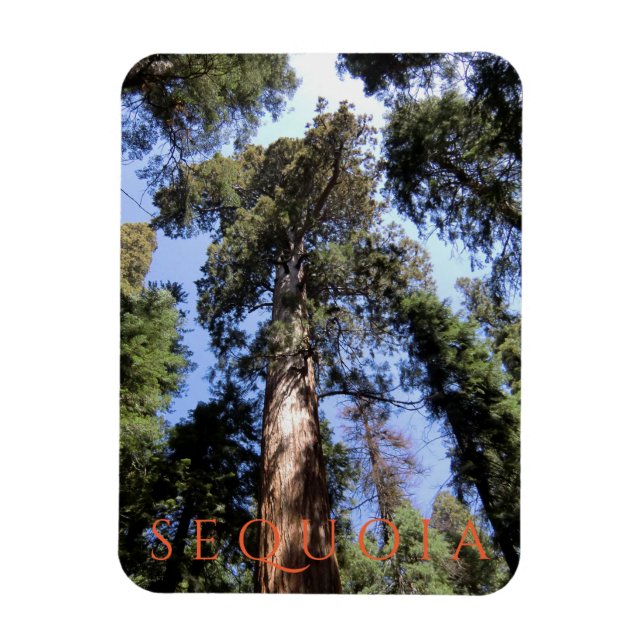 Magnet Flexible Parc national de Sequoia (Vertical)