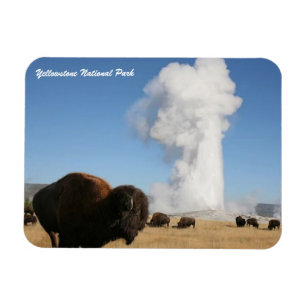 Magnet Flexible Parc national de Yellowstone