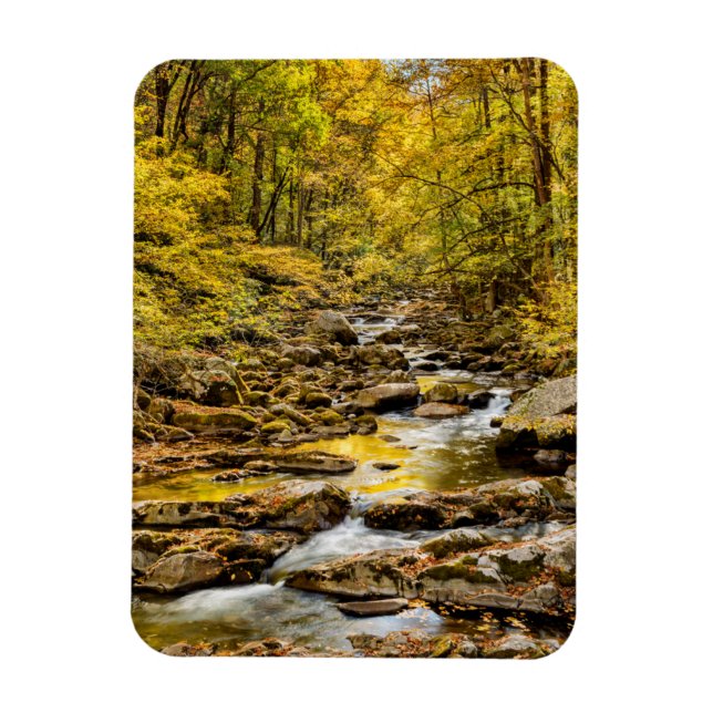 Magnet Flexible Parc national des Great Smoky Mountains. Big Creek (Vertical)