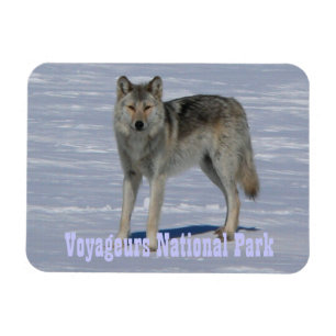 Magnet Flexible Parc national du loup solitaire des Voyageurs, Min