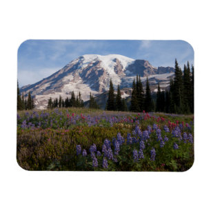 Magnet Flexible Parc national du mont Rainier, Mont Rainier 3