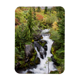 Magnet Flexible Parc national du mont Rainier, ruisseau d'automne