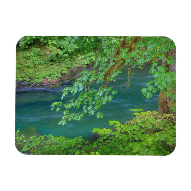 Magnet Flexible Parc national Olympique, État de Washington (Horizontal)