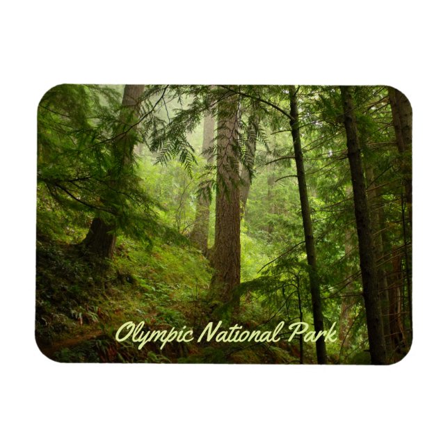 Magnet Flexible Parc national olympique Rainforest Photo (Horizontal)