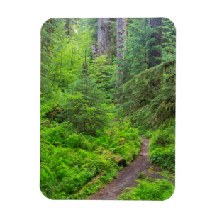 Magnet Flexible Parc national Olympique, sentier forestier