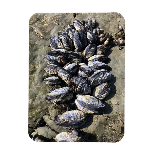 Magnet Flexible Parc Rock State de Sisters (Vertical)