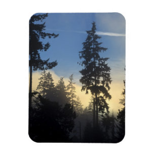 Magnet Flexible Parc Stanley, bois, brouillard de couche marine qu