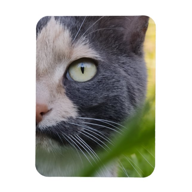 Magnet Flexible Parmi les chaumes – Kobayashi dans le vert (Vertical)