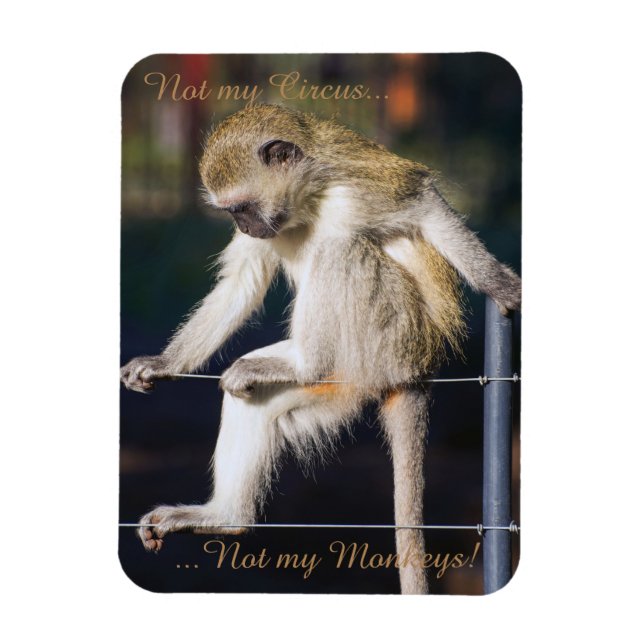 Magnet Flexible Pas mon cirque, pas mon aimant de singes (Vertical)