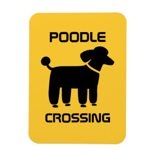 Magnet Flexible Passage Caniche - Noir sur Jaune - Personnalisable