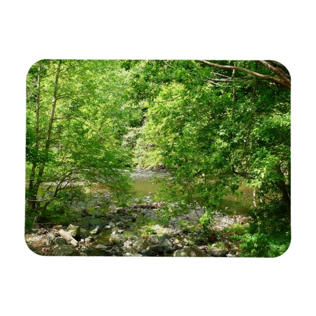 Magnet Flexible Patapsco River View Maryland Nature Photographie (Horizontal)