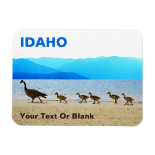 Magnet Flexible Patrouille côtière - Oies du Canada