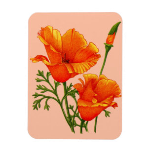 Magnet Flexible pavot orange de Californie