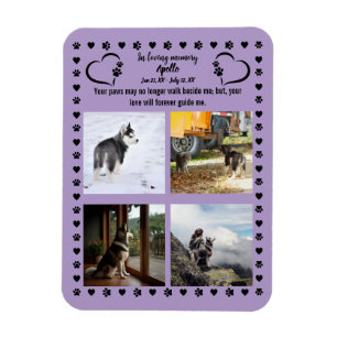 Magnet Flexible Pawprints of Love Photo