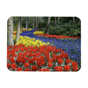 Magnet Flexible Pays-Bas, Hollande, Lisse, Jardins de Keukenhof