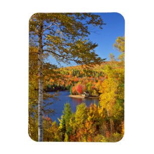 Magnet Flexible Paysage d'arbres en automne, Maine