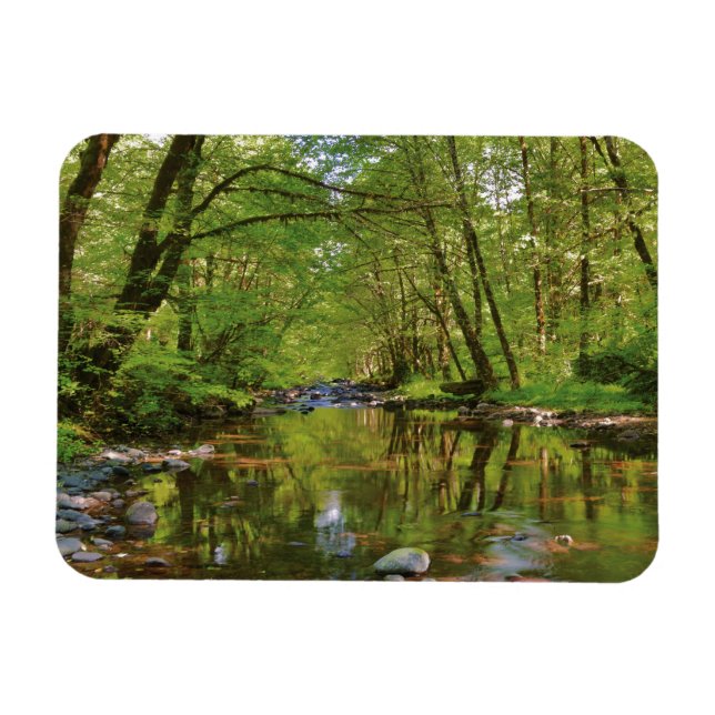 Magnet Flexible Paysage de la rivière Wilson (Horizontal)