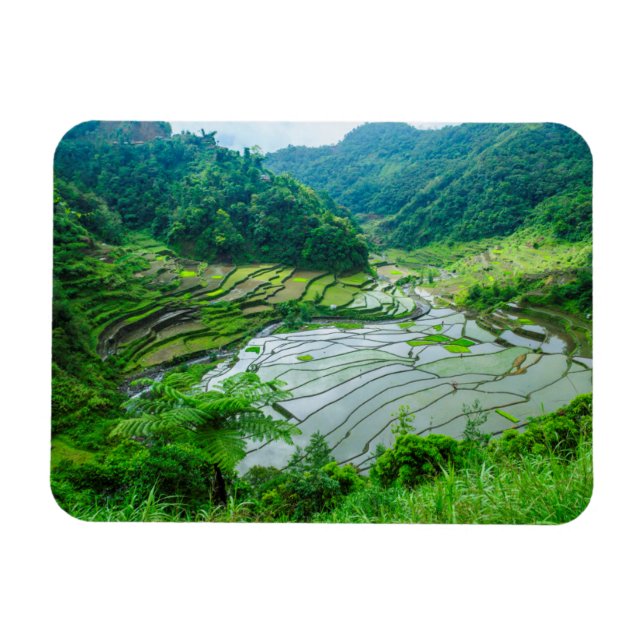 Magnet Flexible Paysage de rizières, Philippines (Horizontal)