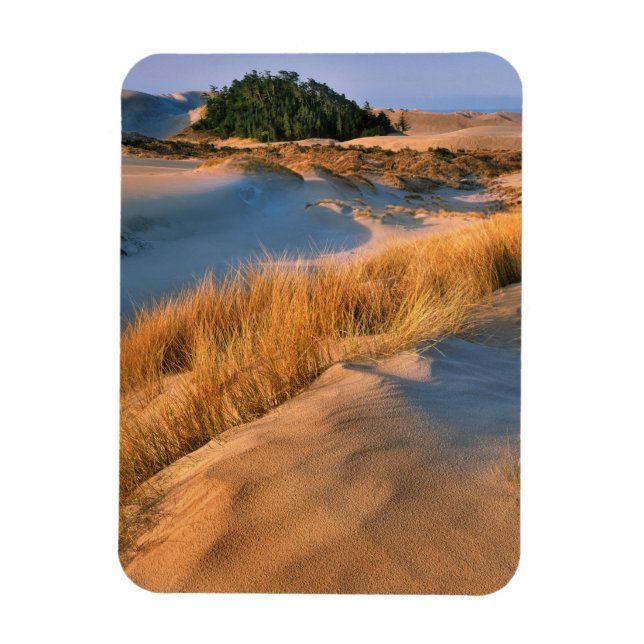 Magnet Flexible Paysage des dunes de sable de l'Oregon (Vertical)