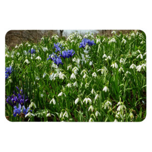 Magnet Flexible Paysage des fleurs du début du printemps