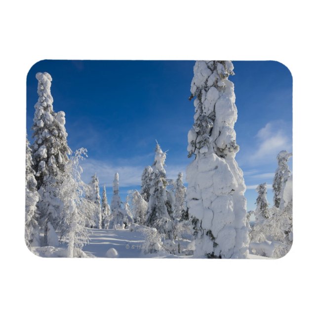 Magnet Flexible Paysage d'hiver à Lappland (Horizontal)