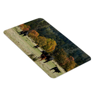 Magnet Flexible Paysage en automne...