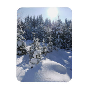 Magnet Flexible Paysage hivernal froid neige 2