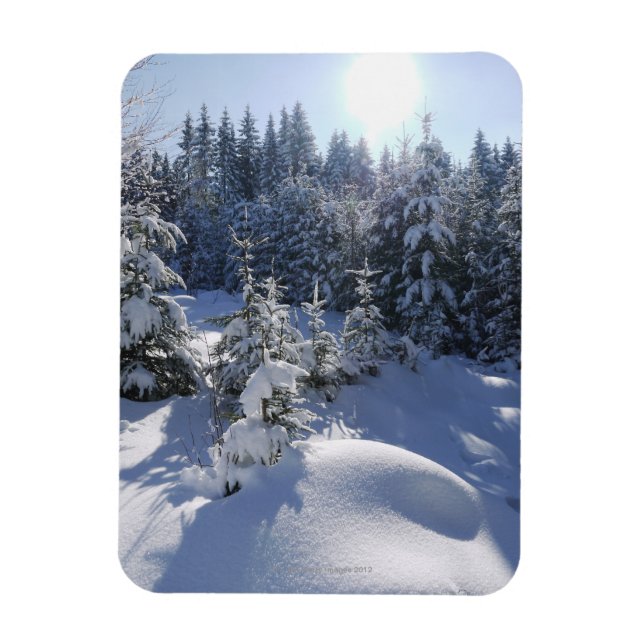 Magnet Flexible Paysage hivernal froid neige 2 (Vertical)