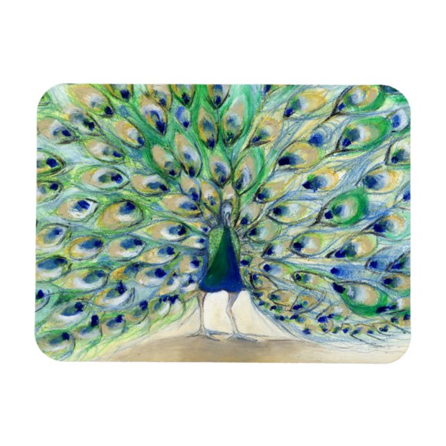 Magnet Flexible Peacock à San Diego 2 2013 (Horizontal)
