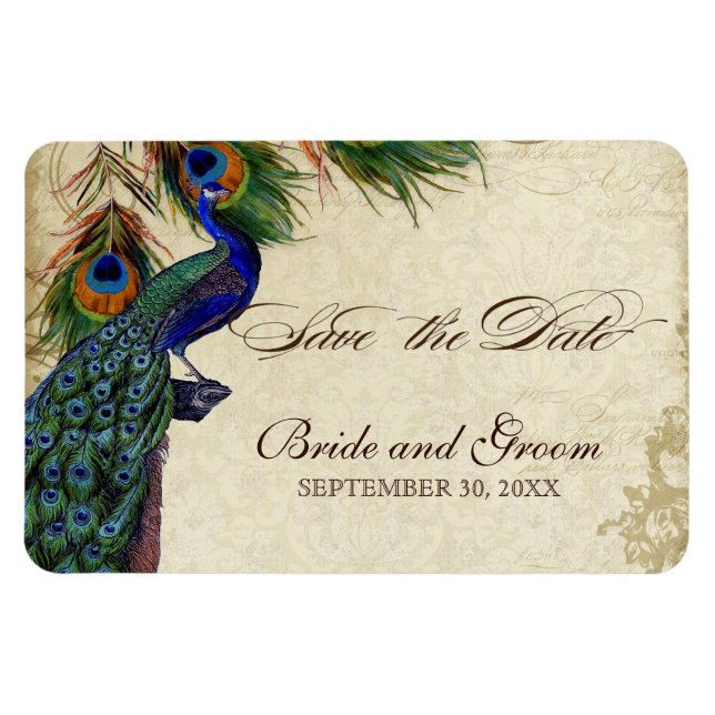 Magnet Flexible Peacock & Feathers Formal Enregistrer la date Tan  (Horizontal)