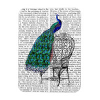 Peacock sur la chaise