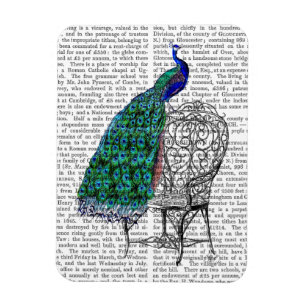 Magnet Flexible Peacock sur la chaise