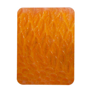 Magnet Flexible Peau de sébaste