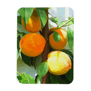 MAGNET FLEXIBLE PÊCHES