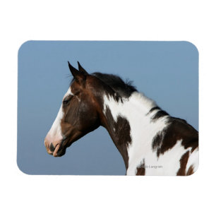 Magnet Flexible Peignez le Headshot 1 de cheval