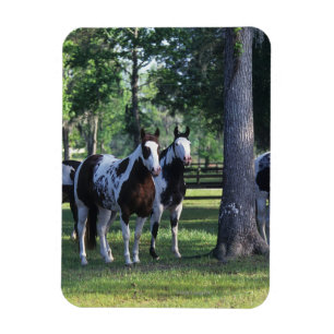Magnet Flexible Peindre les chevaux dans les arbres